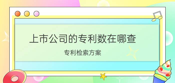 上市公司的专利数在哪查 专利检索方案？